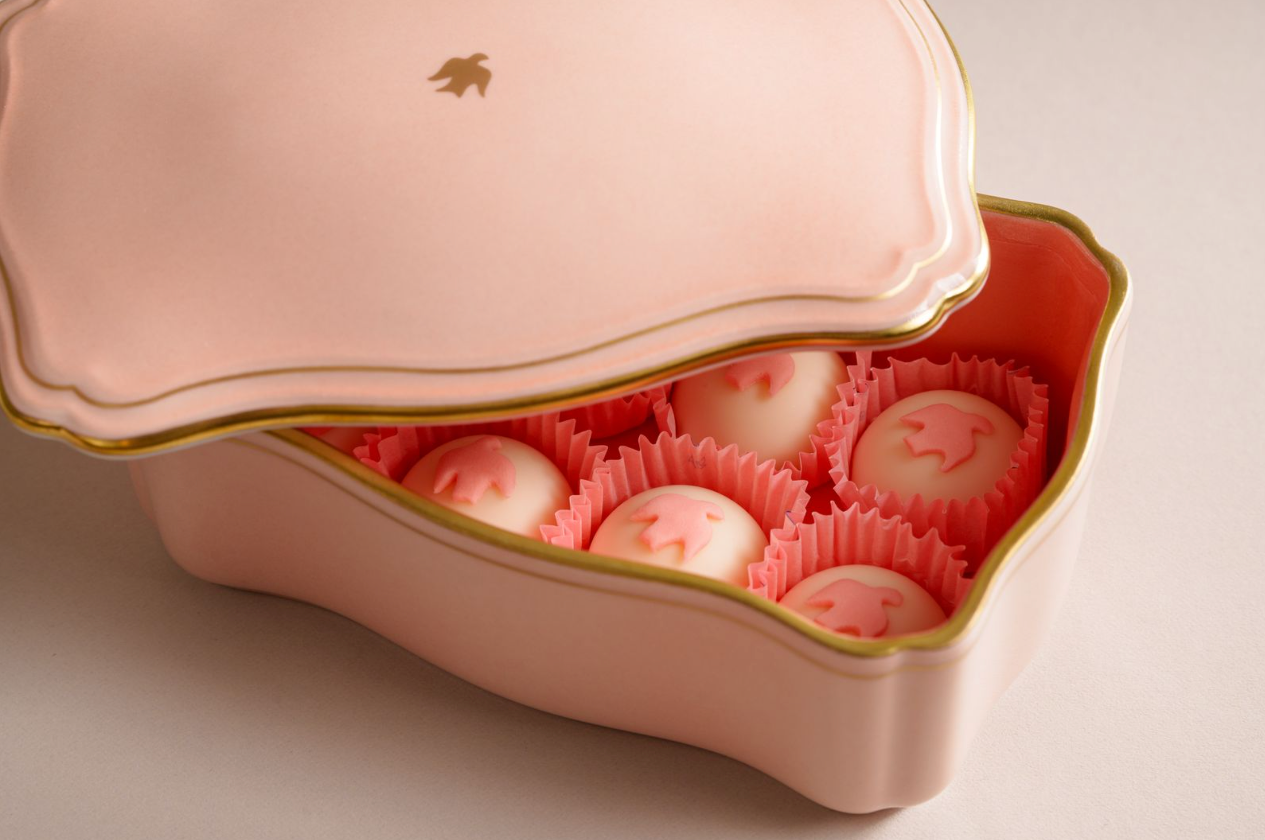 Sant Ambroeus by Ginori 1735 Rectangular Chocolate Dove Box