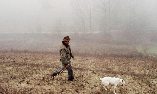 The hunt for white gold
